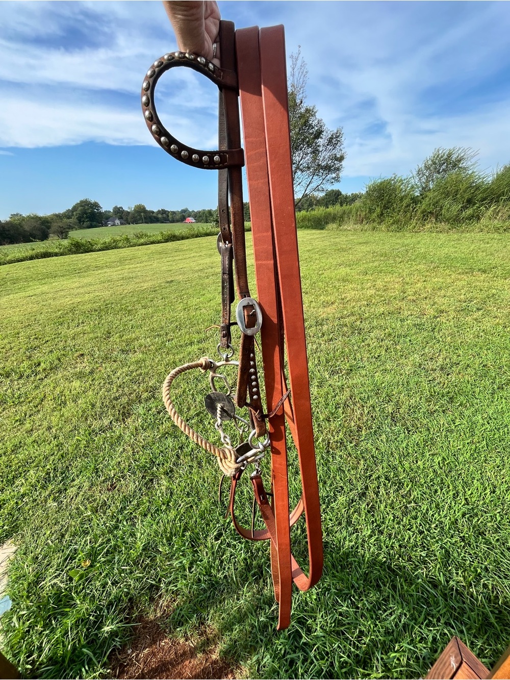 Complete Bridle and Reins Set with combo bit